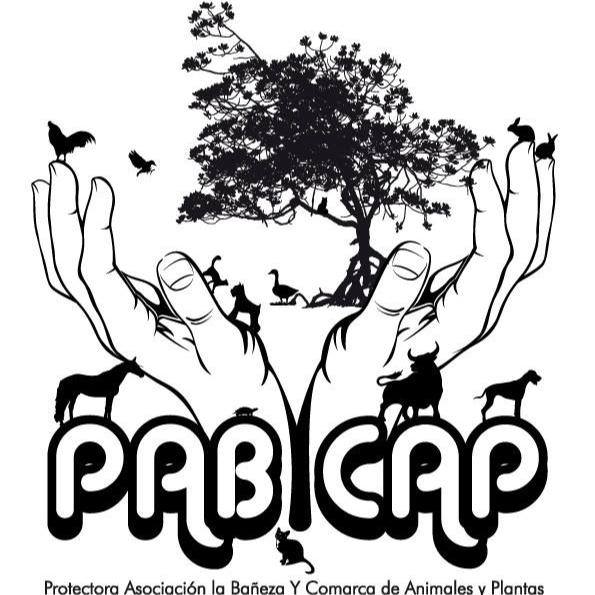 PAB-CAP
