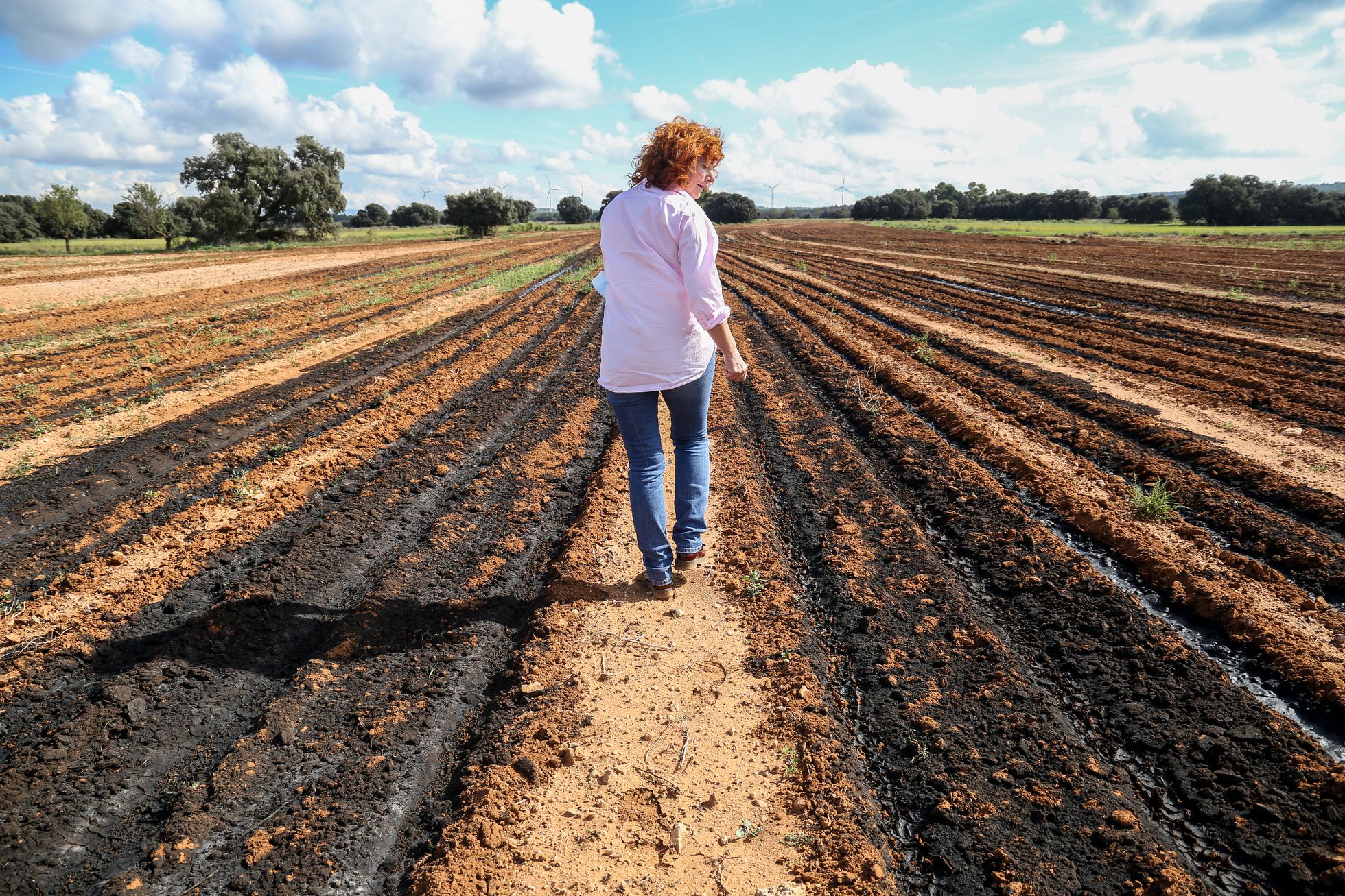 digestato Natividad Pérez, alcaldesa de Balsa de Ves, camina por un terreno agrícola lleno de digestato reseco. AITOR SOL